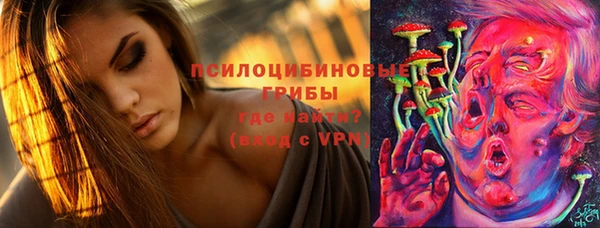 ГАЛЛЮЦИНОГЕННЫЕ ГРИБЫ Алексин