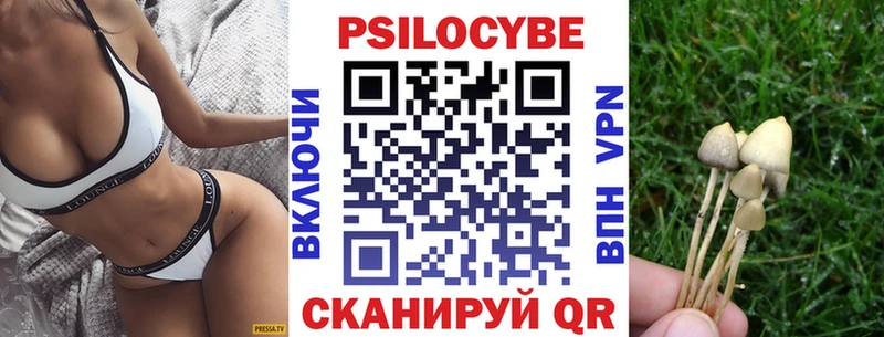 Псилоцибиновые грибы прущие грибы  Пустошка 